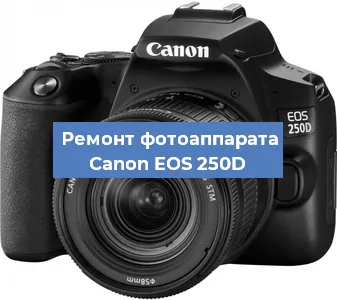 Замена слота карты памяти на фотоаппарате Canon EOS 250D в Перми